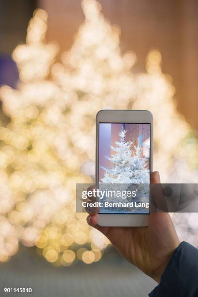 mobile phone taking picture of white christmas tree - bavaria christmas stock pictures, royalty-free photos & images