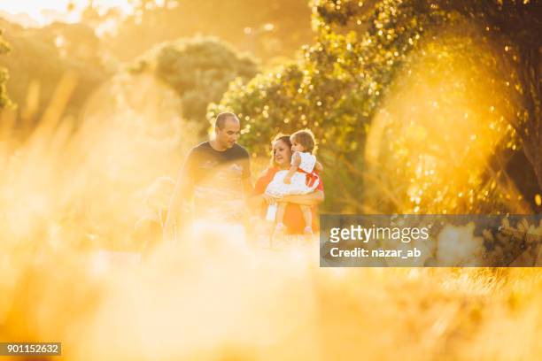 family living in new zealand. - auckland food stock pictures, royalty-free photos & images