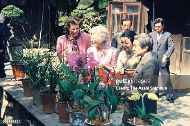 Queen Ingrid of Denmark and Princess Anne-Marie of Denmark talk with Emperor Akihito and Empress Michiko at the Imperial Palace on April 19, 1991 in...