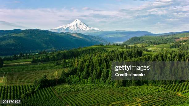 luchtfoto landbouwgrond met prachtig uitzicht op de mount hood - mount hood stockfoto's en -beelden