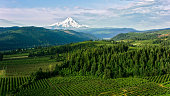 Aerial Farmland with beautiful view of the Mount Hood