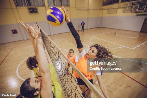 volleyball team in action - female sports team stock pictures, royalty-free photos & images