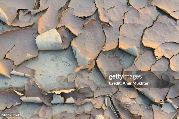 peeling, dry and broken - arid climate stock pictures, royalty-free photos & images