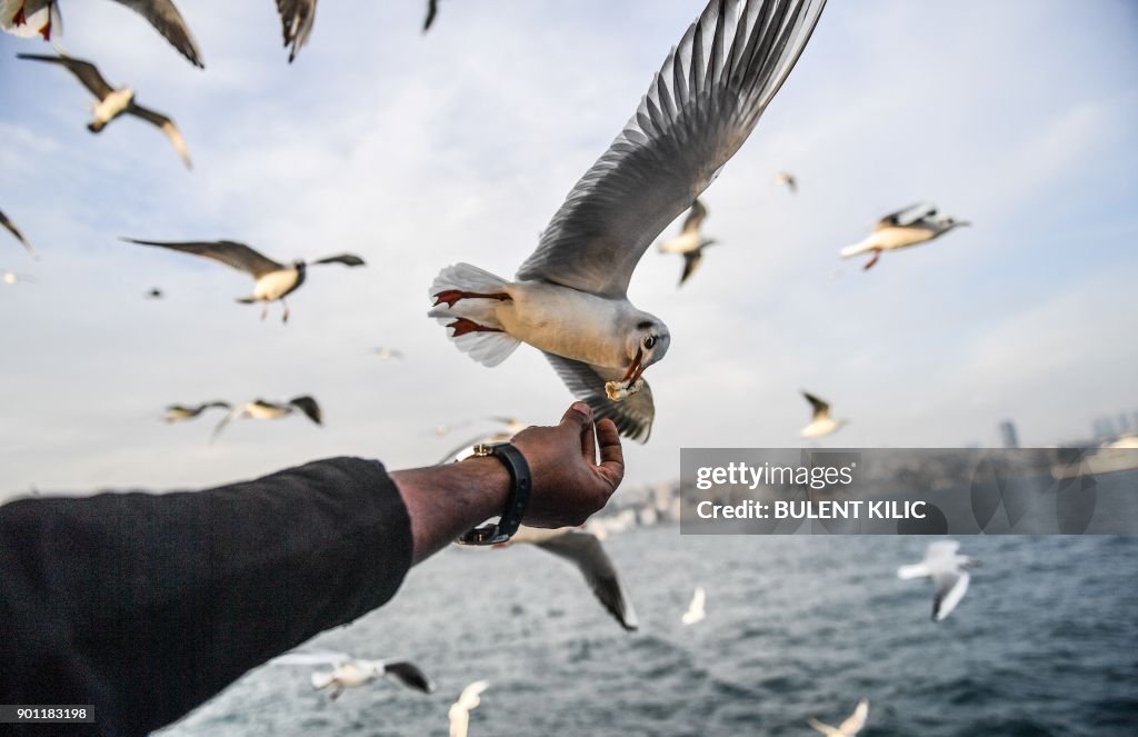 TOPSHOT-TURKEY-DAILY-LIFE-FEATURE