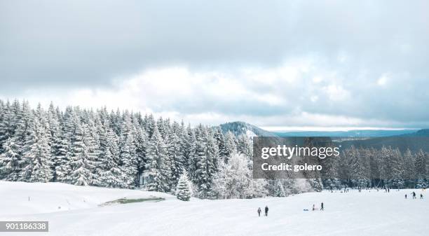 panoramablick vom schmücke auf schnee caped thüringer wald - riesengebirge stock-fotos und bilder