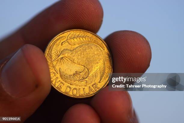 new zealand dollar in hand - new zealand money stockfoto's en -beelden