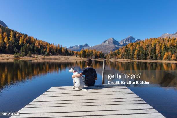 kid and dog - st moritz stock pictures, royalty-free photos & images