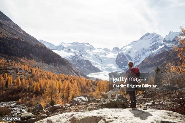 solo traveller hiking in switzerland - switzerland travel stock pictures, royalty-free photos & images