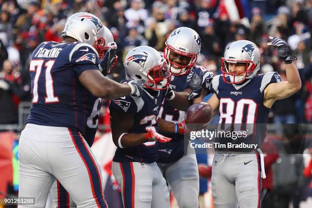 Dion Lewis of the New England Patriots celebrates with teammates after scoring a touchdown against the Buffalo Bills at Gillette Stadium on December...