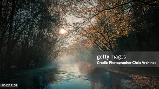 vezere river - dordogne stock pictures, royalty-free photos & images