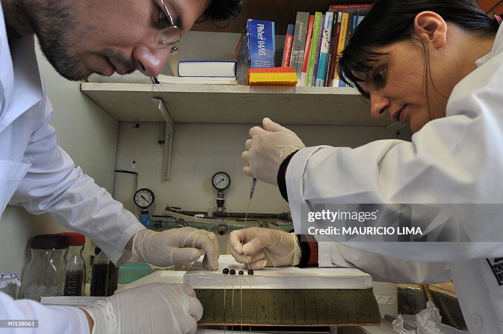TO GO WITH AFP STORY BY MARC BURLEIGH -