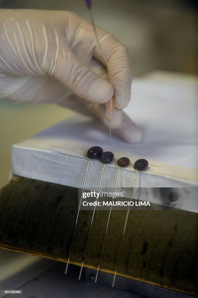 TO GO WITH AFP STORY BY MARC BURLEIGH -