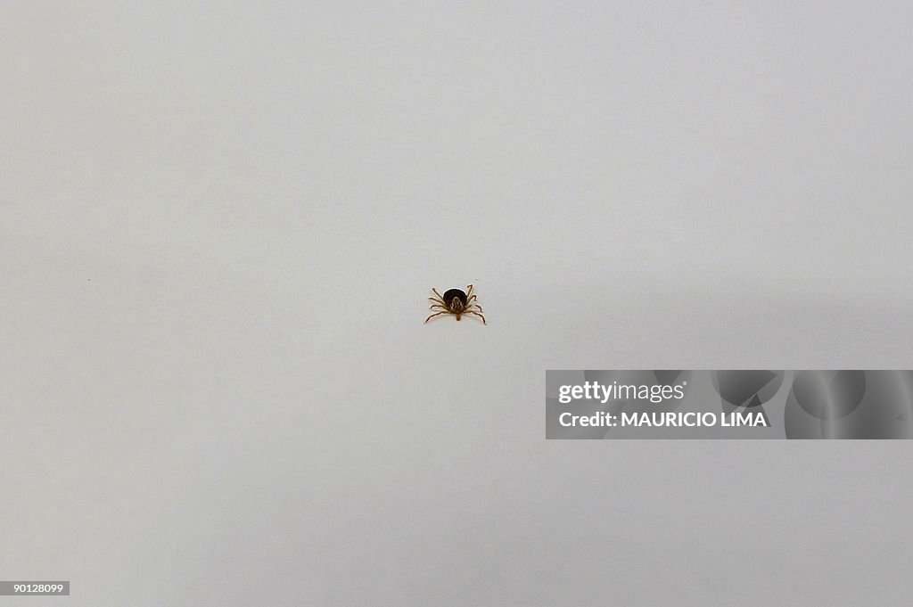 TO GO WITH AFP STORY BY MARC BURLEIGH -