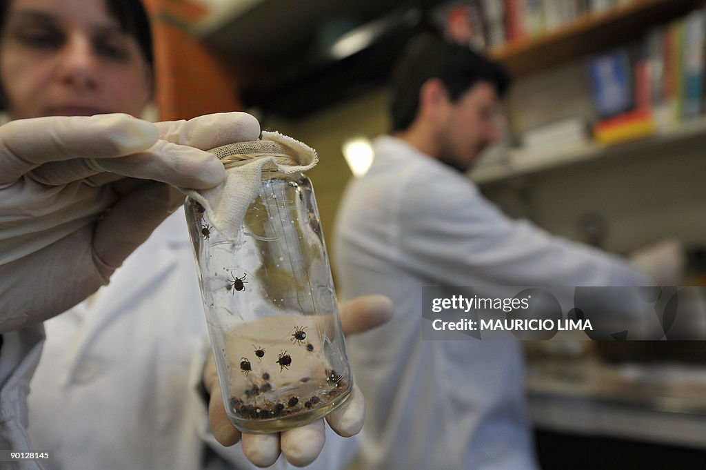 TO GO WITH AFP STORY BY MARC BURLEIGH -