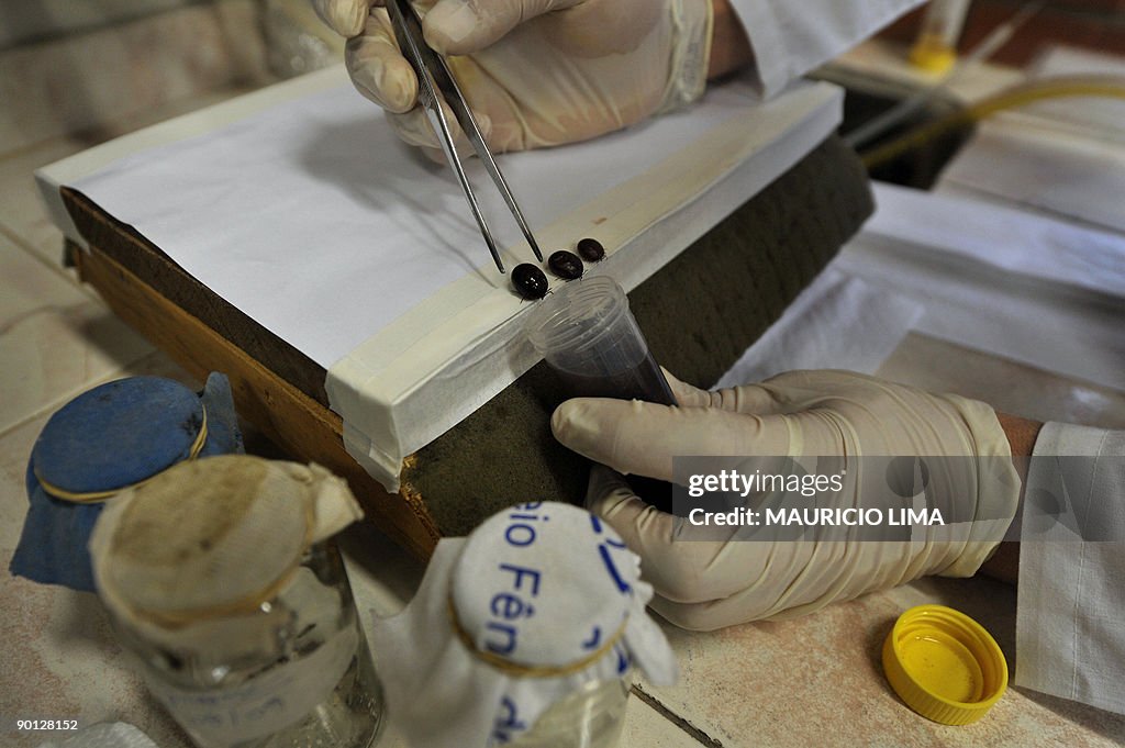 TO GO WITH AFP STORY BY MARC BURLEIGH -