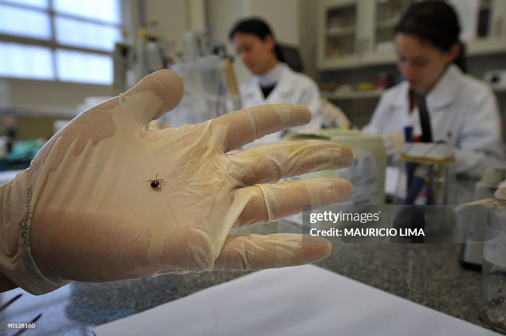 TO GO WITH AFP STORY BY MARC BURLEIGH -
