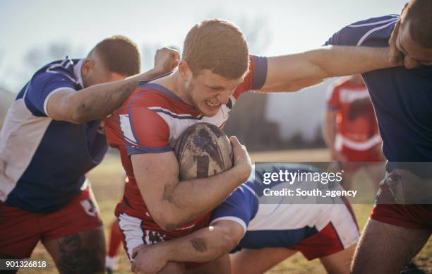 violent rugby - rugby league pitch stock pictures, royalty-free photos & images