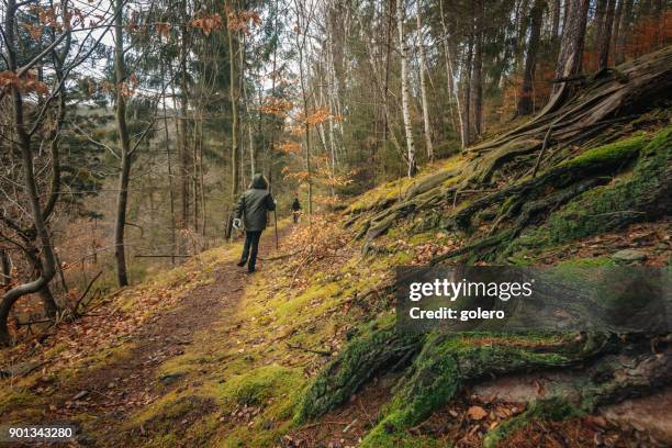 rückansicht auf mädchen zu fuß in den wald im winter - thüringen stock-fotos und bilder