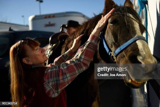 Becky Murr grooming her American Saddlebred, Patricia Ann Lee before the National Western Stock Show kick-off parade that will run straight up 17th...