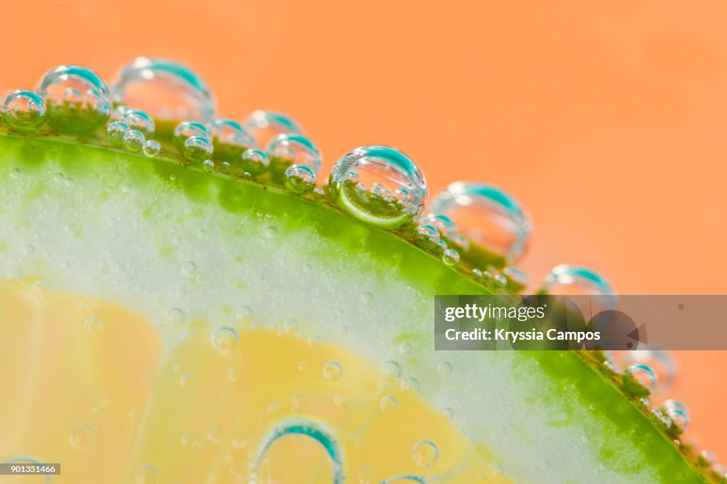 Detail of a slice of lemon with soda water in glass