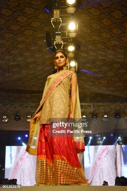 Pakistani Model Ramp 1,452 Pakistani Male Models Stock Photos, High-Res Pictures, and Images ...
