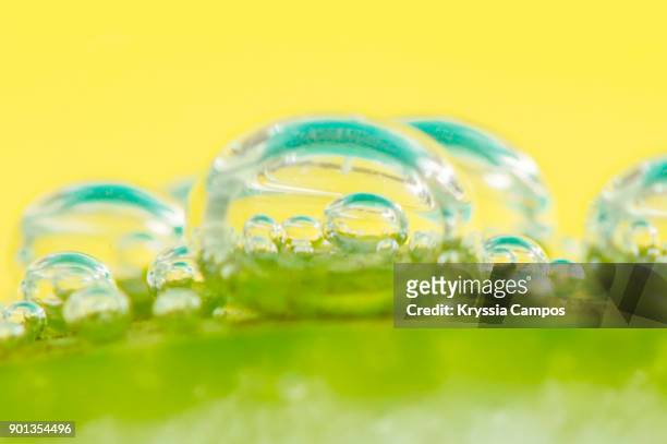 detail of a slice of lemon with soda water in glass - lemon soda fotografías e imágenes de stock