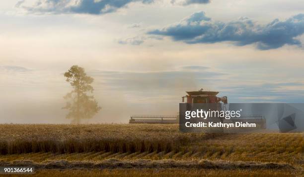 harvesting a wheat crop in country nsw australia - farm machinery stock pictures, royalty-free photos & images