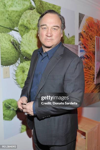 Jim Belushi attends W Magazine's Celebration of its 'Best Performances' Portfolio and the Golden Globes with Audi, Dior, and Dom Perignon at Chateau...