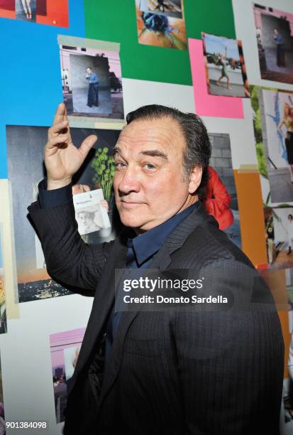 Jim Belushi attends W Magazine's Celebration of its 'Best Performances' Portfolio and the Golden Globes with Audi, Dior, and Dom Perignon at Chateau...