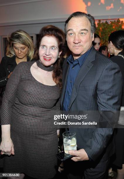 Magazine's Lynn Hirschberg and Jim Belushi attend W Magazine's Celebration of its 'Best Performances' Portfolio and the Golden Globes with Audi,...