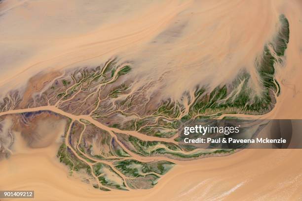 aerial view of fern shaped river delta - lago natron foto e immagini stock