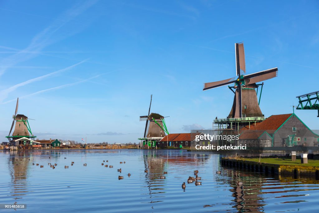 傳統荷蘭風車在 Zaanse Schans, 阿姆斯特丹, 荷蘭
