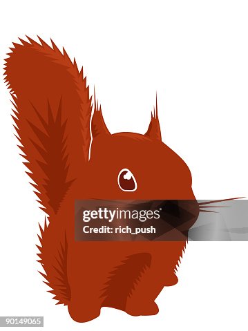 Red Squirrel Red Squirrel