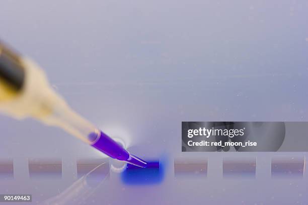 loading a dna agaraose gel - sequencing stock pictures, royalty-free photos & images