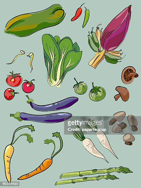 vegetables - bok choy stock illustrations