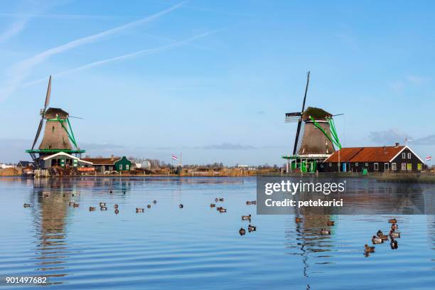 traditionelle holländische windmühlen in zaanse schans, amsterdam, niederlande - zaandam stock-fotos und bilder