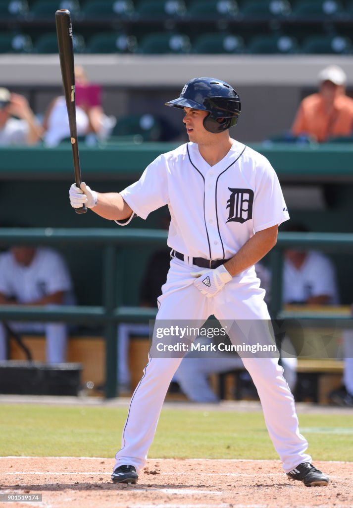 Detroit Tigers Workout