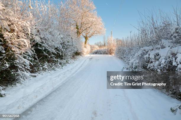 snow covered country road - country road stock pictures, royalty-free photos & images