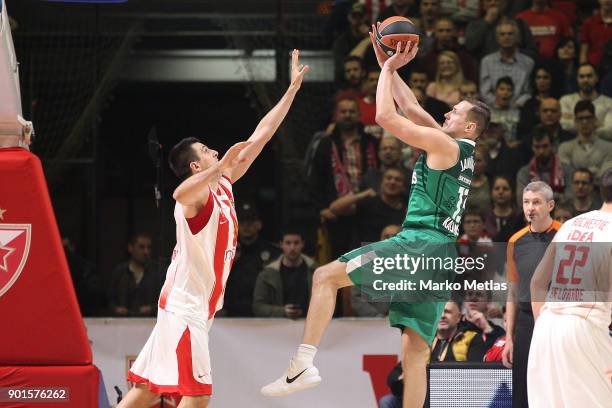 Paulius Jankunas, #13 of Zalgiris Kaunas competes with Milko Bjelica, #51 of Crvena Zvezda mts Belgrade during the 2017/2018 Turkish Airlines...