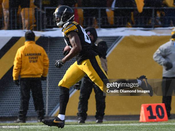 Wide receiver Darrius Heyward-Bey of the Pittsburgh Steelers carries the ball downfield to score a rushing touchdown in the first quarter of a game...