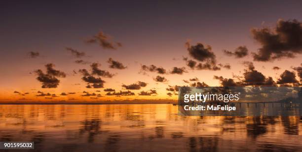 idyllic rangiroa island in french polynesia - rangiroa atoll stock pictures, royalty-free photos & images