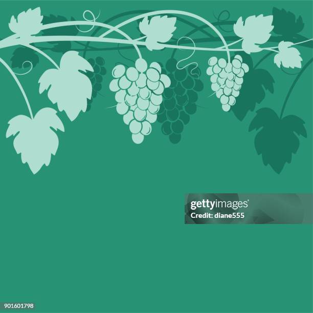 grapes wine background - wine tasting stock illustrations