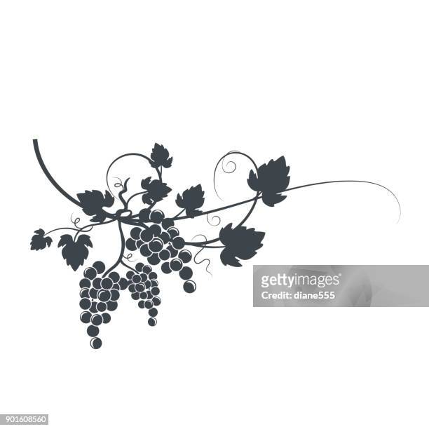 ilustrações, clipart, desenhos animados e ícones de silhueta de videira - wine grapes