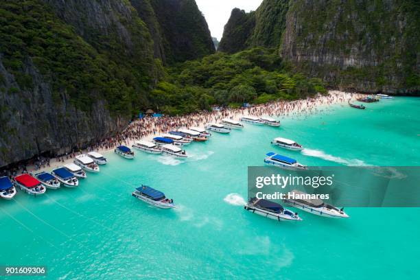 tourists - maya bay stock pictures, royalty-free photos & images
