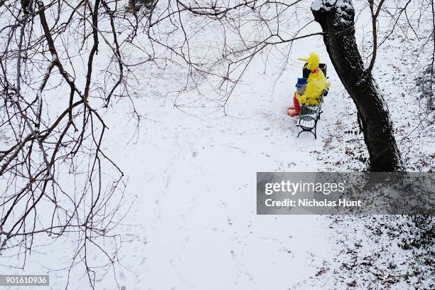 Person in a Big Bird costume sits in a park during a massive winter storm on January 4, 2018 in New York City. As a major winter storm moves up the...