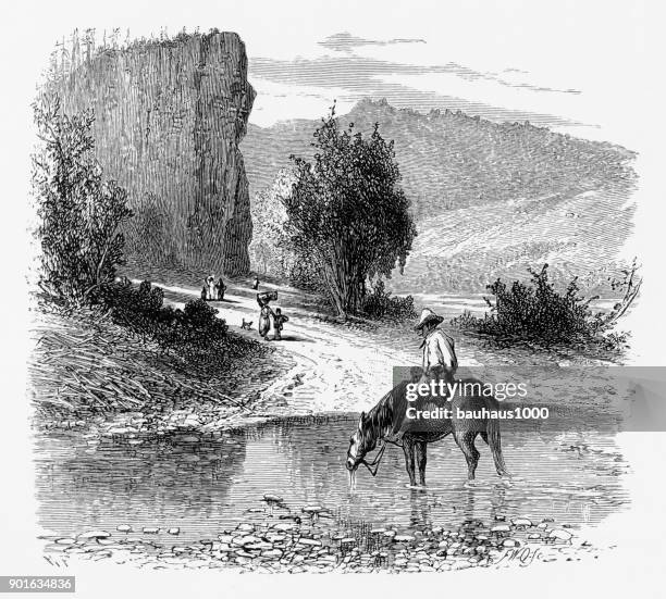 watering horse on the french broad river, north carolina, united states, american victorian engraving, 1872 - asheville stock illustrations