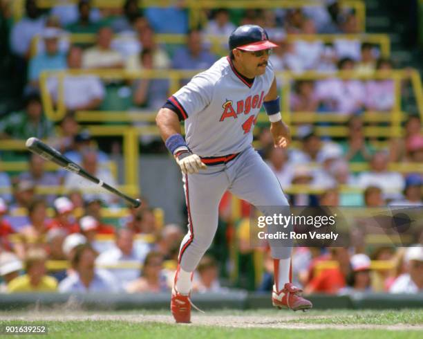 Reggie Jackson of the California Angels bats during an MLB game versus the Chicago White Sox at Comiskey Park in Chicago, Illinois during the 1986...