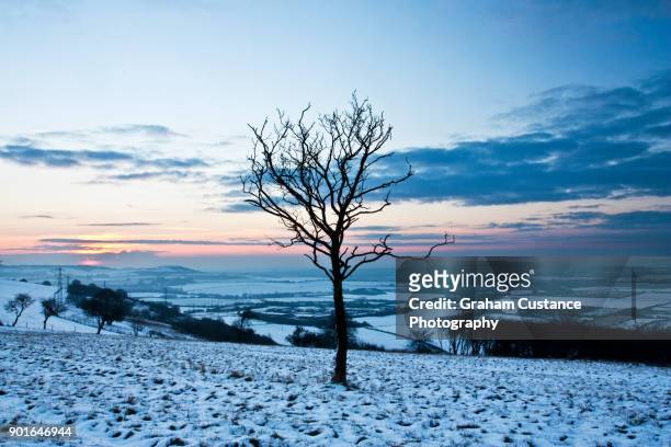 white landscapes - hügelkette chiltern hills stock-fotos und bilder