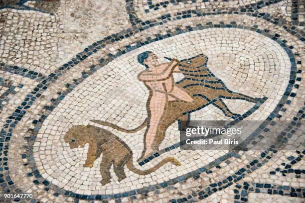 the labours of hercules, floor mosaic, roman archeological site in volubilis, morocco - hercules fotografías e imágenes de stock