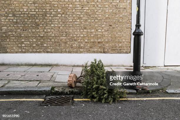 Discarded Christmas tree lies in a street in Angel on January 5, 2018 in London, England. In the lead up to Christmas a pine tree is the centre point...